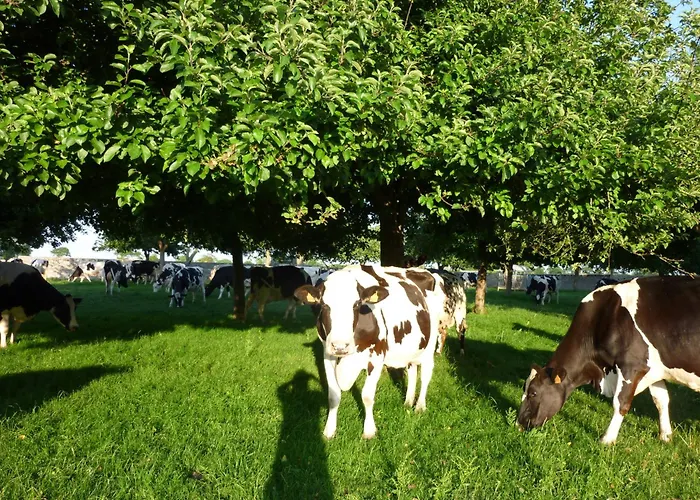 Manoir De L'hermerel Bed & Breakfast 3*